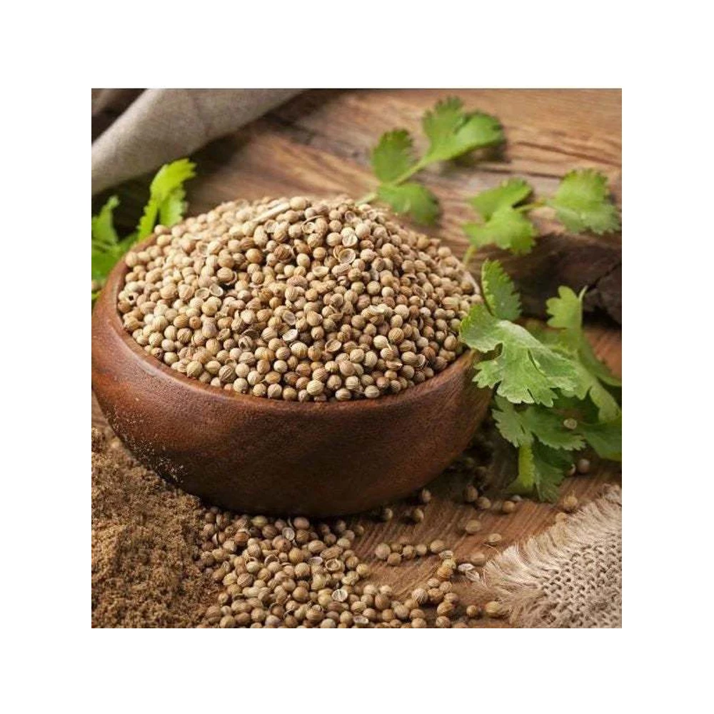 Popular Natural Spices Dry Coriander Seeds Dhaniya Seeds Ready To Ship 10000kg