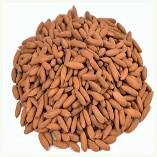 Bulk Organic Pine Nuts at Wholesale Prices High Quality Low Price Organic Pine Nuts for Sale Good Price