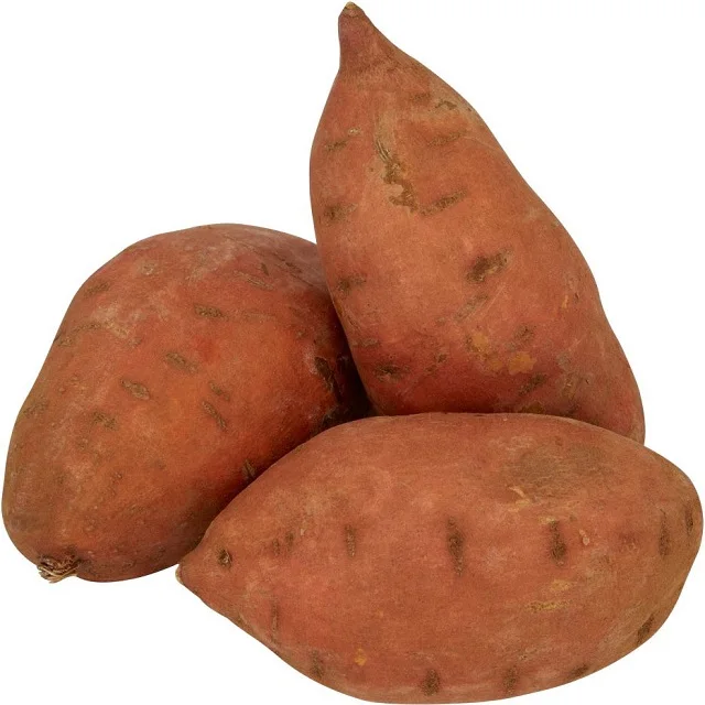 New crop fresh sweet potato wholesale price
