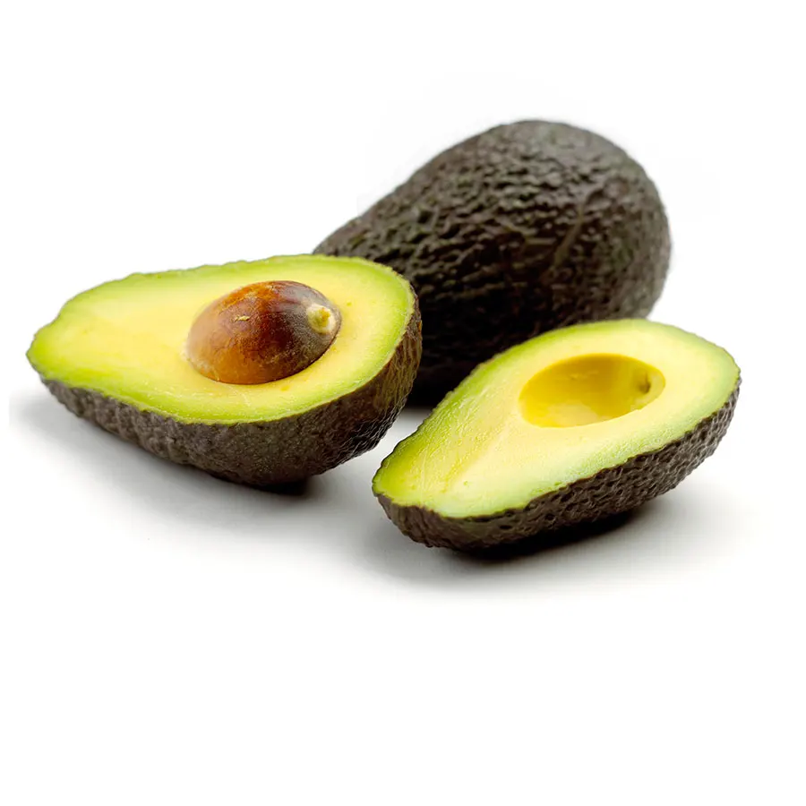 Avocado Peruvian Tropical PERU Style Origin Type Variety Product Fresh Fruit Place Model Cultivation Common Hass