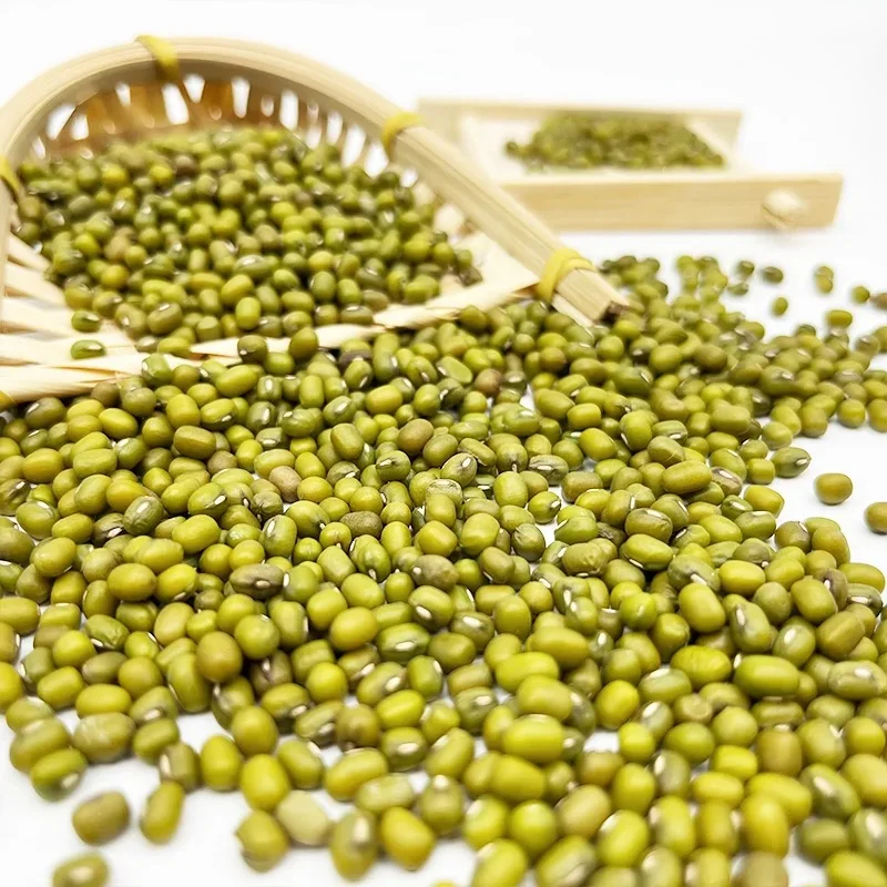 Top Quality Ukraine Green Mung Beans / Moong Dal / Vigna Beans for export