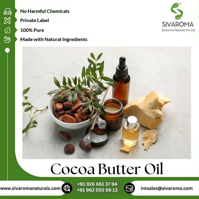 World Wide Wholesale Export 100% Premium Quality Natural Cocoa Butter Essential Oil by Pure Extraction Carrier Oils Manufacturer