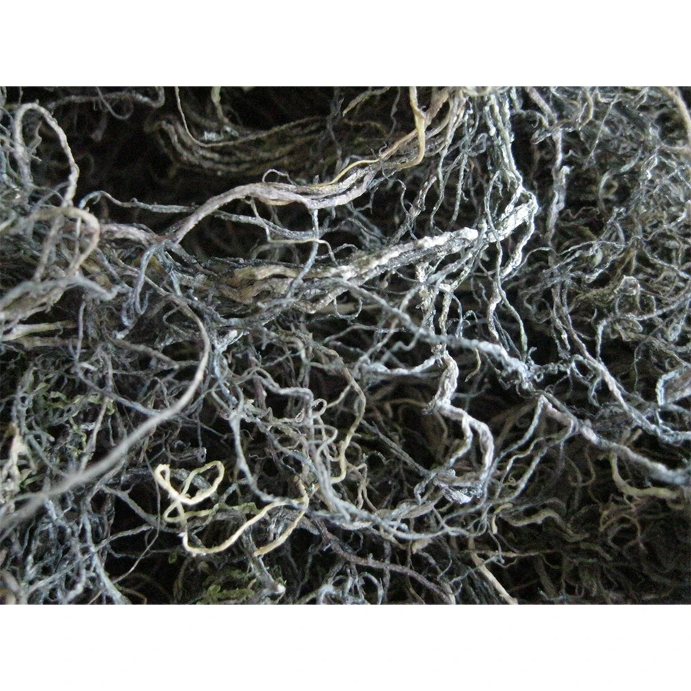 Wholesale Dried Gracilaria Seaweed - High Export Standard With Competitive Price Made In Vietnam