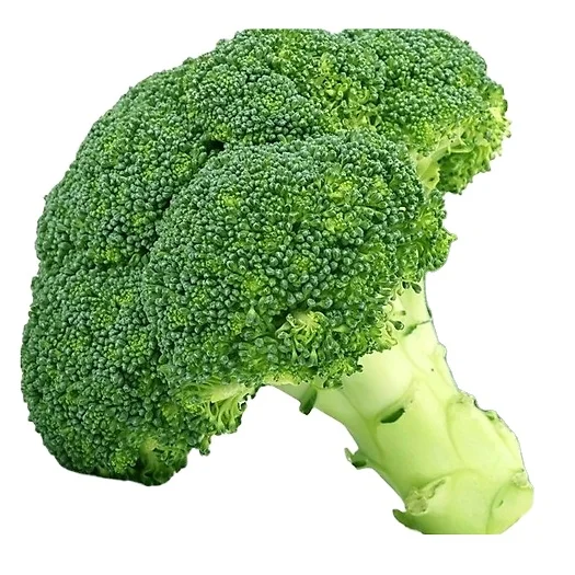 Заводская цена, хорошее качество, свежие зеленые броколли из Вьетнама, Лучший экспортер, свежие овощи по разумной цене, готовые к экспорту