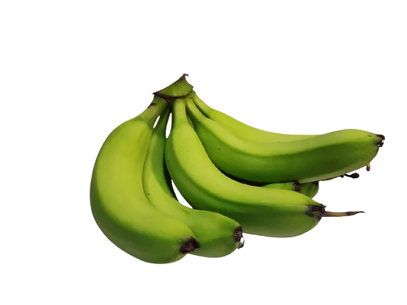 Tropical Fruit Vietnam Organic Fresh Best Ranking Product Grade A456 Cavendish Banana OEM ODM Customize Logo