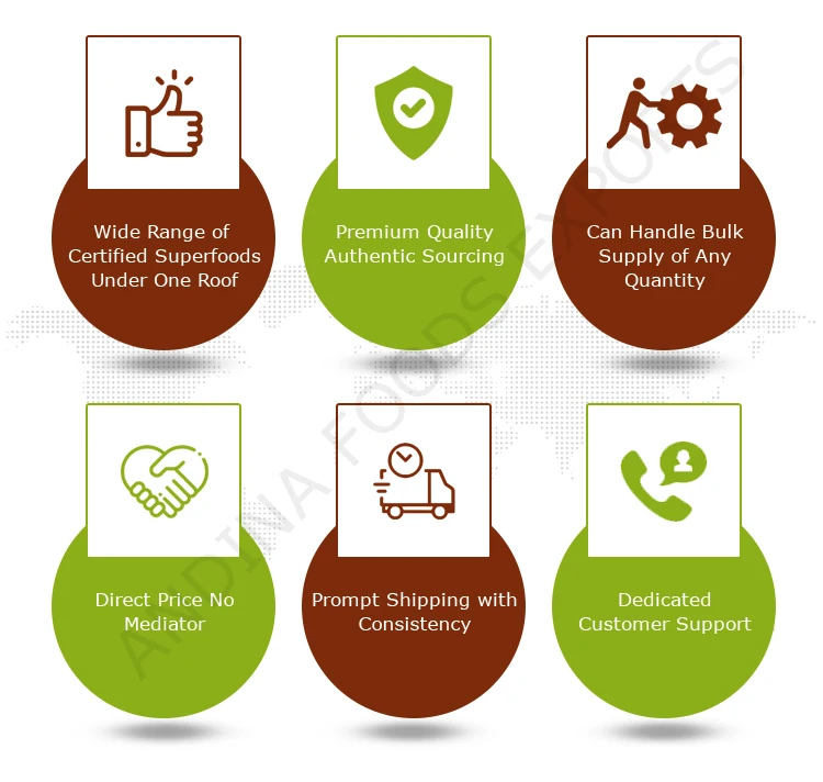 Bulk Distributor Selling Top Quality Fresh Crop Best Protein and Essential Amino Acids Brazil Nuts From Peru