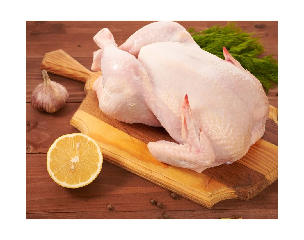 Best Quality Healthy and Natural Whole Chicken Halal Frozen Whole Chicken From Poultry Meat Chicken