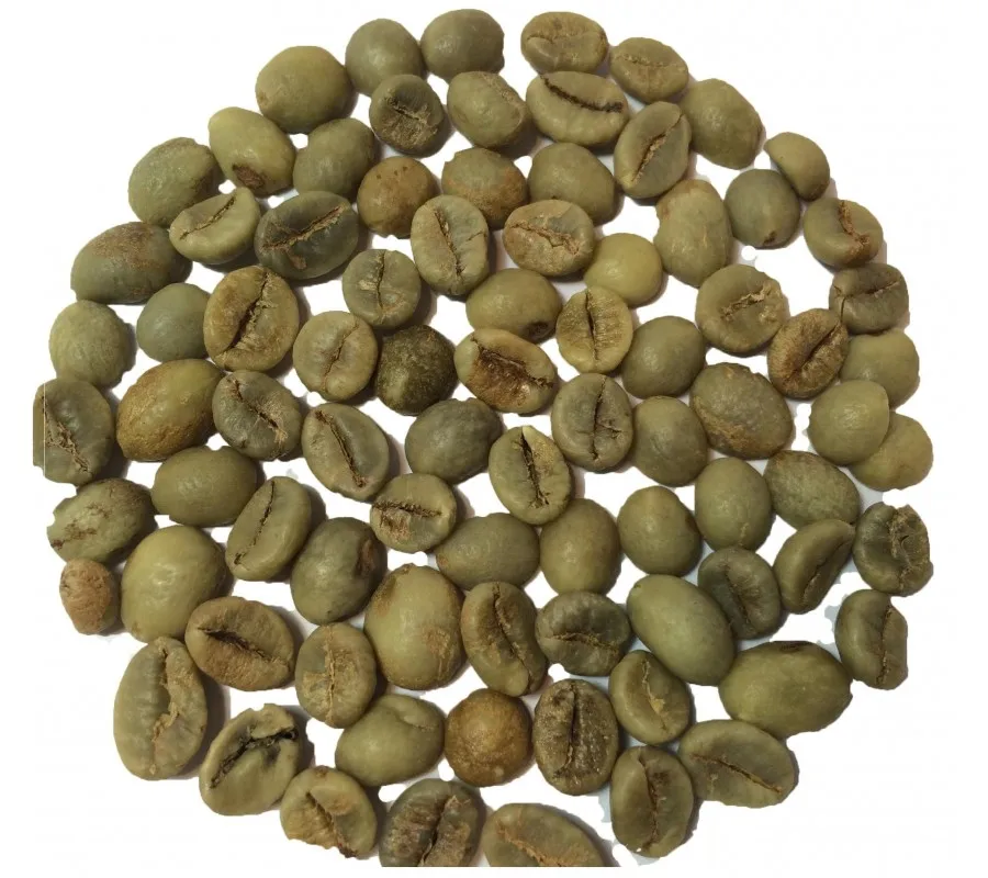 Cheap  Price ROBUSTA COFFEE / ARABIA COFFEE/GREEN COFFEE BEANS