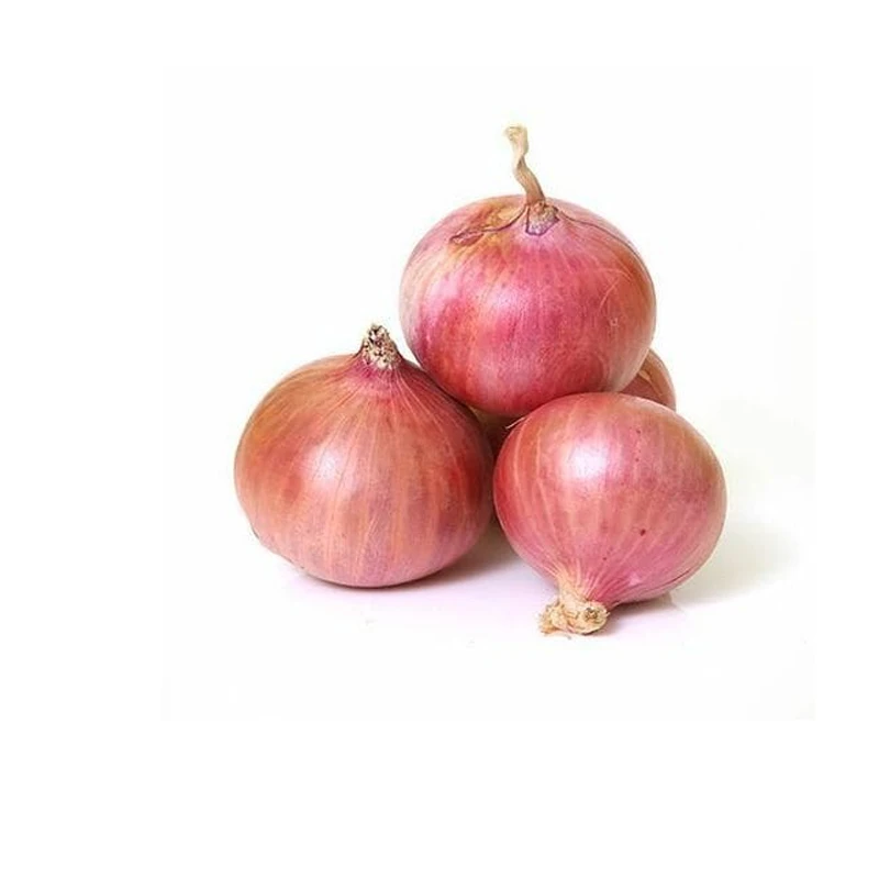 Best Quality Custom Made Wholesale New crop red onion 5cm CNF offer fresh onion factory price