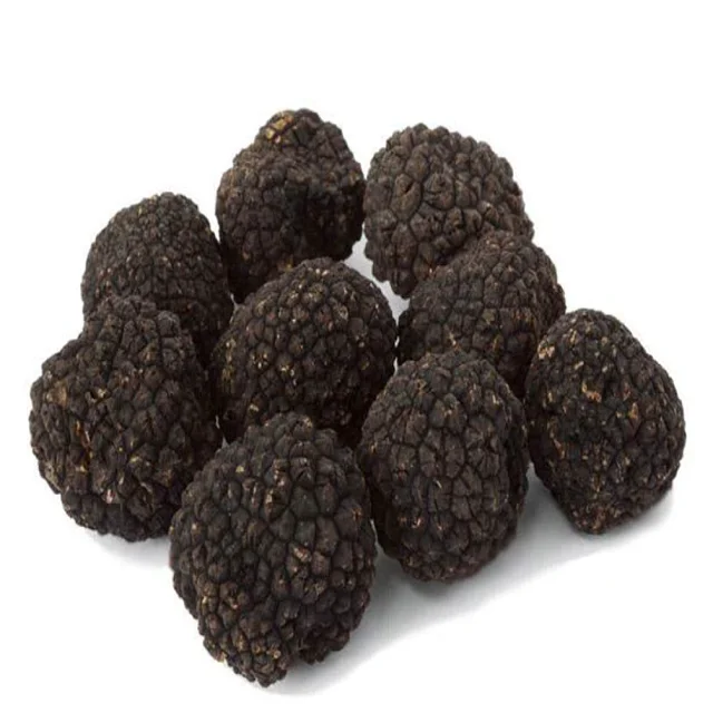 Cheap Price Black Truffles Mushrooms Dried Edible Mushrooms