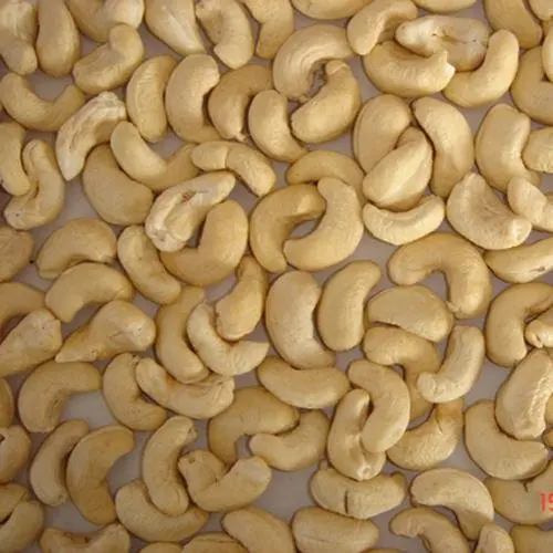 Vietnam Cashew nuts SW450 Good Quality and Competitive factory Price For Importers (WhatsApps 0084374074818)