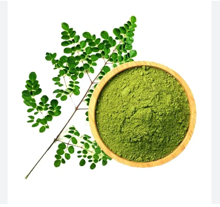 Organic Moringa Powder Oleifera Leaf Extra-Fine Quality Dried Drumstick Tree Leaves Smoothies