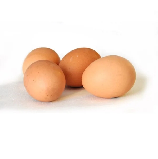 Cobb 700 CObb 500 and Ross 308 Broiler Hatching eggs / Best Quality Organic Fresh Chicken Eggs
