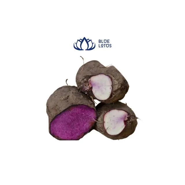 Exporting from Vietnam with Best Price for Purple Yam