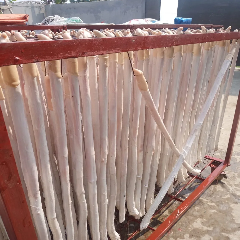 Beef Penis Best Quality Processing Super fresh Best quality Frozen Beef Pizzle  Bull Pizzle For Sale Cheap Price from Bangladesh