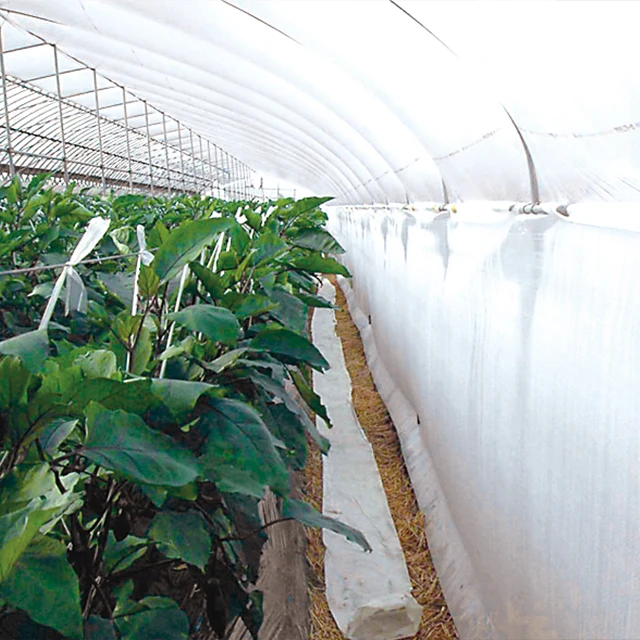 Biodegradable Transparent Plastic Paper Roll Inside Lining for Agricultural Greenhouses Foam EVA Materials Packaging Style