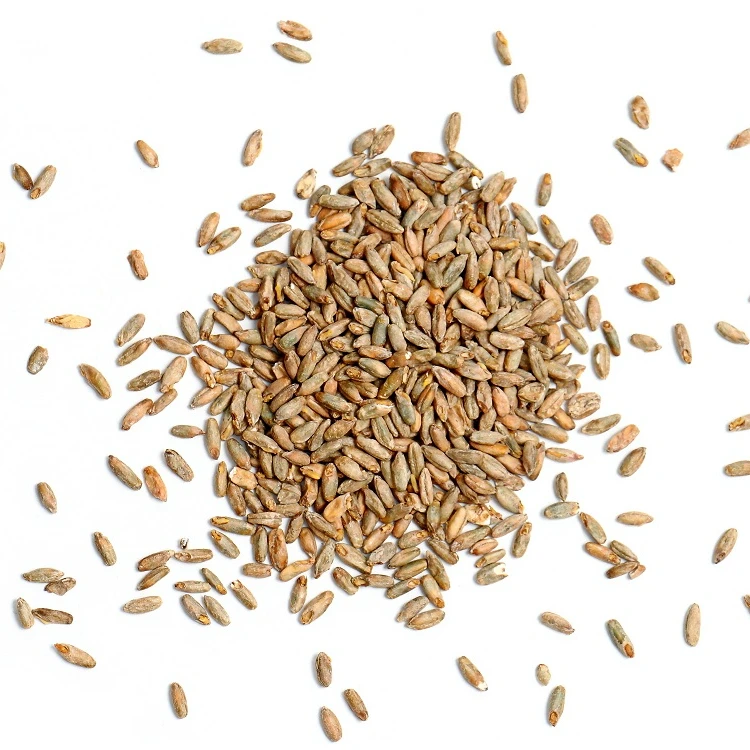 High Quality Winter Rye / Organic Rye Grains / Rye Bran and Rye Flakes