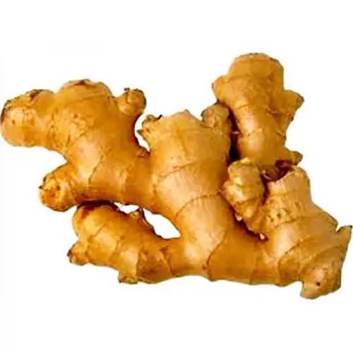 Good Quality Fresh Ginger Ginger fresh  Fresh Ginger For Sale.