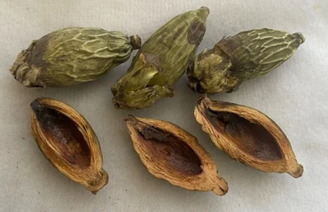 paste-pic-dp_uuid_w5c7b