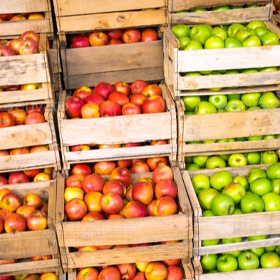 Apple Fuji Variety Apples Premium Red Top Sweet Crop Style Time Packing September Color Weight Origin Type Fruits Quality High