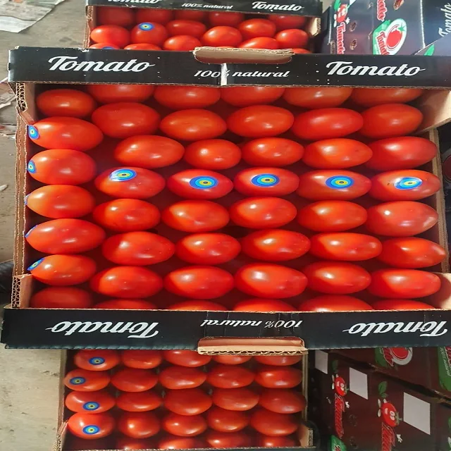 fresh tomatoes sweet mediterranean red tomatoes for sale red style packaging seeds f1 red hybrid tomato seed