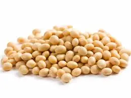 Non-gmo Organic Soybean seed Suppliers / Soya Bean price / Soybeans Brazil