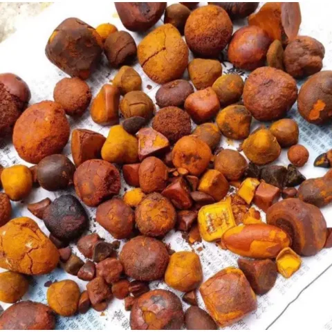 2024 New Arrival Ox Gallstones , Cow Gallstones, Cattle Gallstones Bezoar Bolus Gallstones