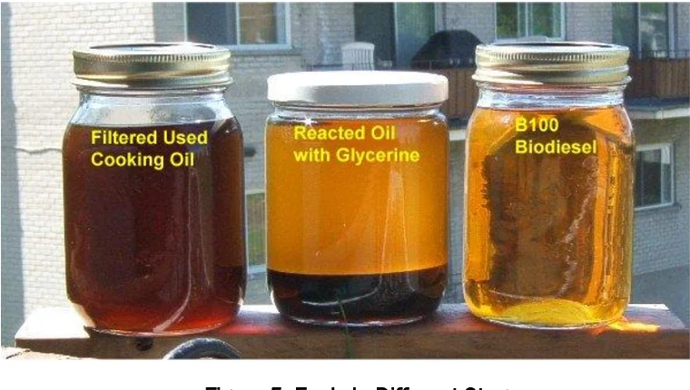 UCO Used Cooking Oil Used Vegetable Oil UVO High Quality Used Cooking Oil for Sale