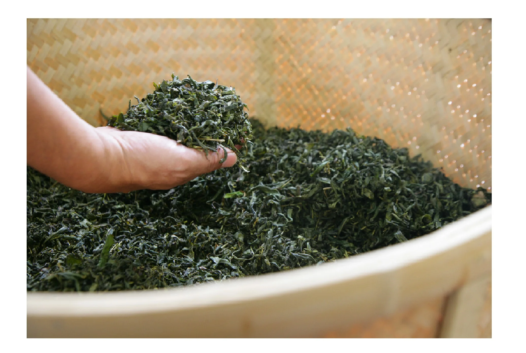 Premium Luxury Beauty Product Flavored Wholesale Green Tea Importers High Quality