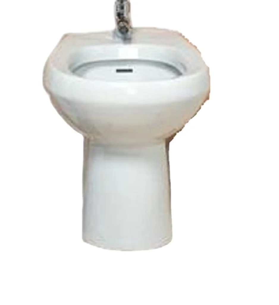 Hot On Sale Premium Ceramic Sanitary Ware Atlas One Piece Western Bathroom Toilet Seats from India smart toilet