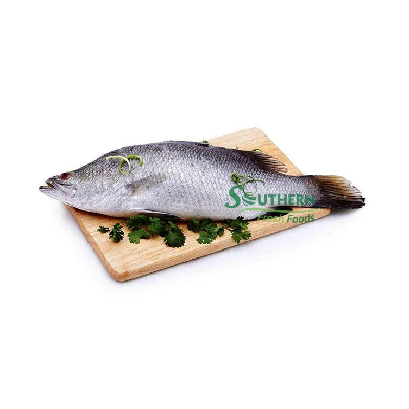 Whole Round WR Farm Raised SFF Storage package style IQF product safety other fish Frozen Barramundi from Vietnam