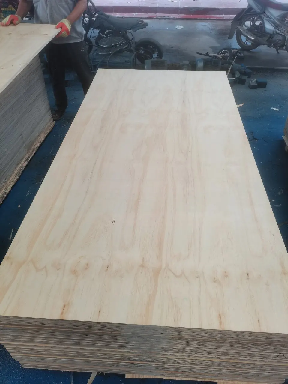PINE PLYWOOD - KNOTTY PINE - Plywood type Commercial Plywood Factory direct price wood construction 5 mm - 34 mm