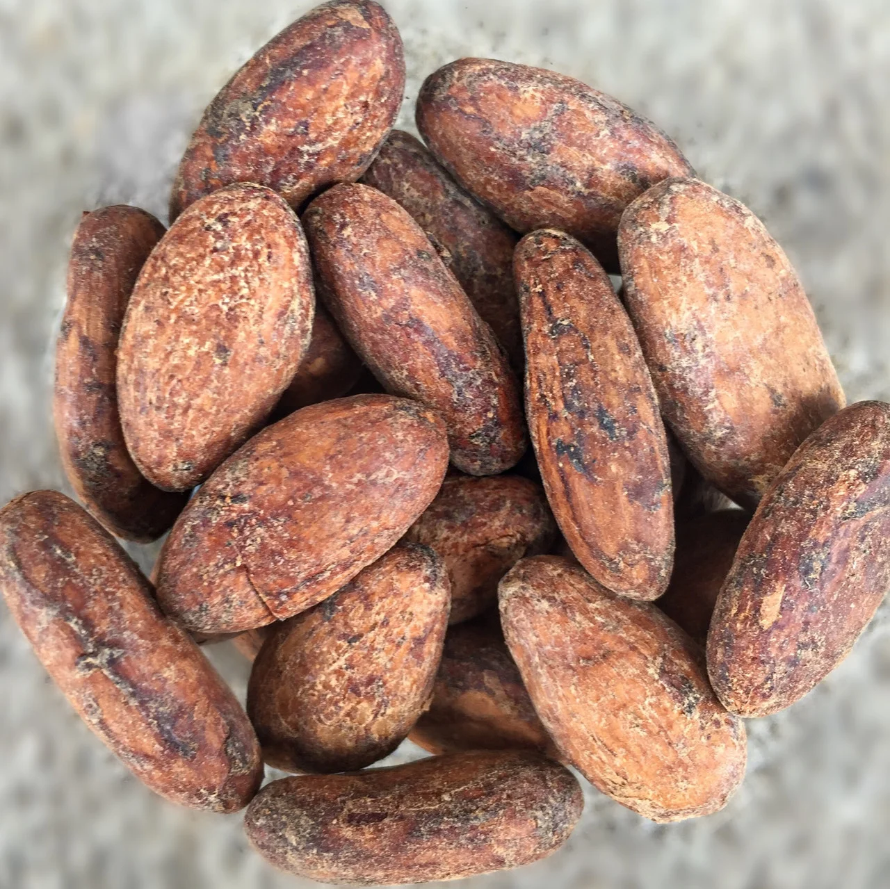 Whole, roasted Cacao Beans., Cacao Beans