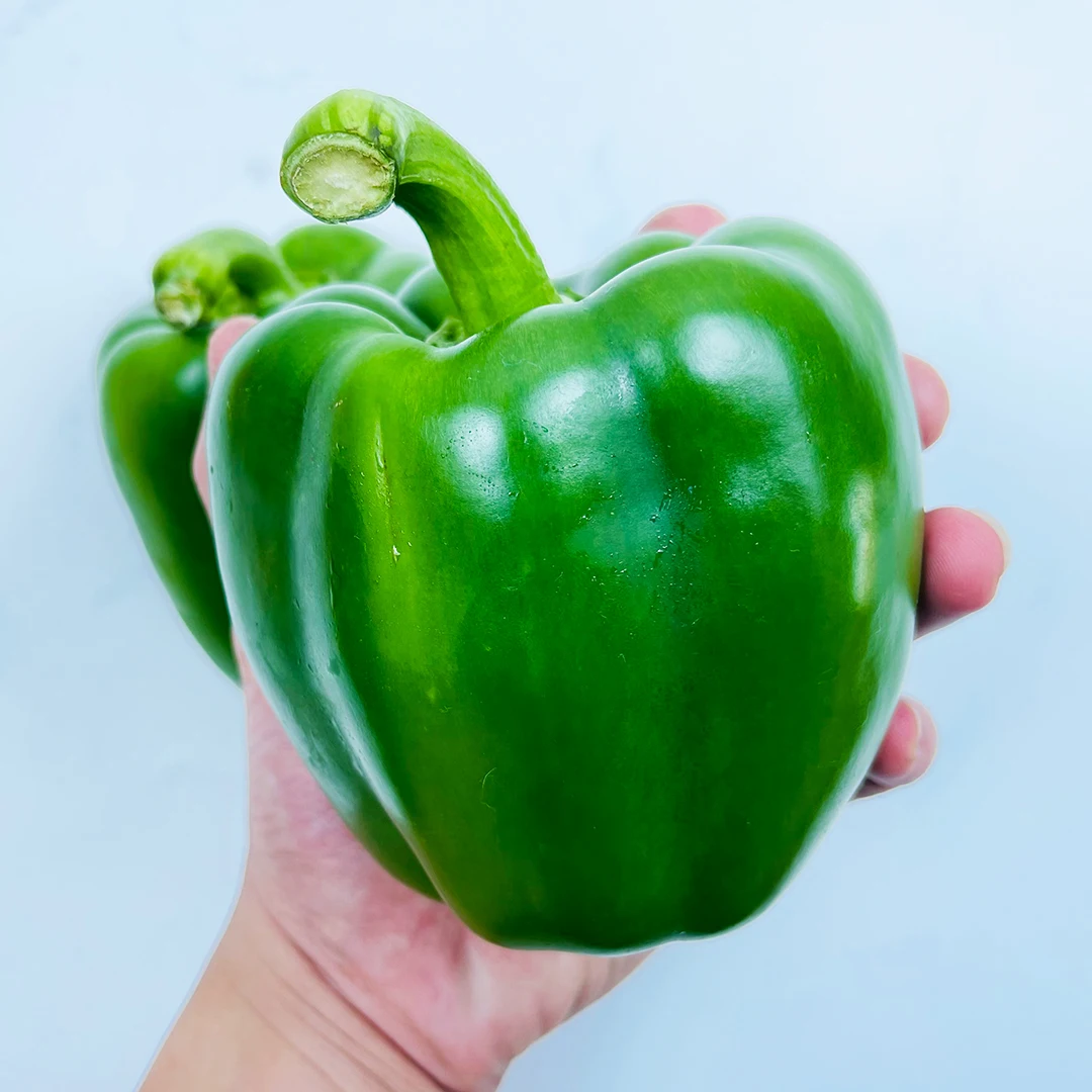 Quality Grade 100% Fresh & Natural Color Capsicum Fresh Exotic Vegetables Bell Peppers from Vietnam