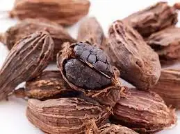 High On Demand Black Cardamom for Coking and Food Flavour at Affordable Price for Export from India Manufacture
