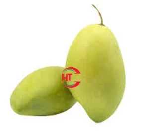 Fresh Fruit Export Organic Cultivation Ripe Maturity Natural Sweet Taste Hoa Loc Mango From Vietnam Brand
