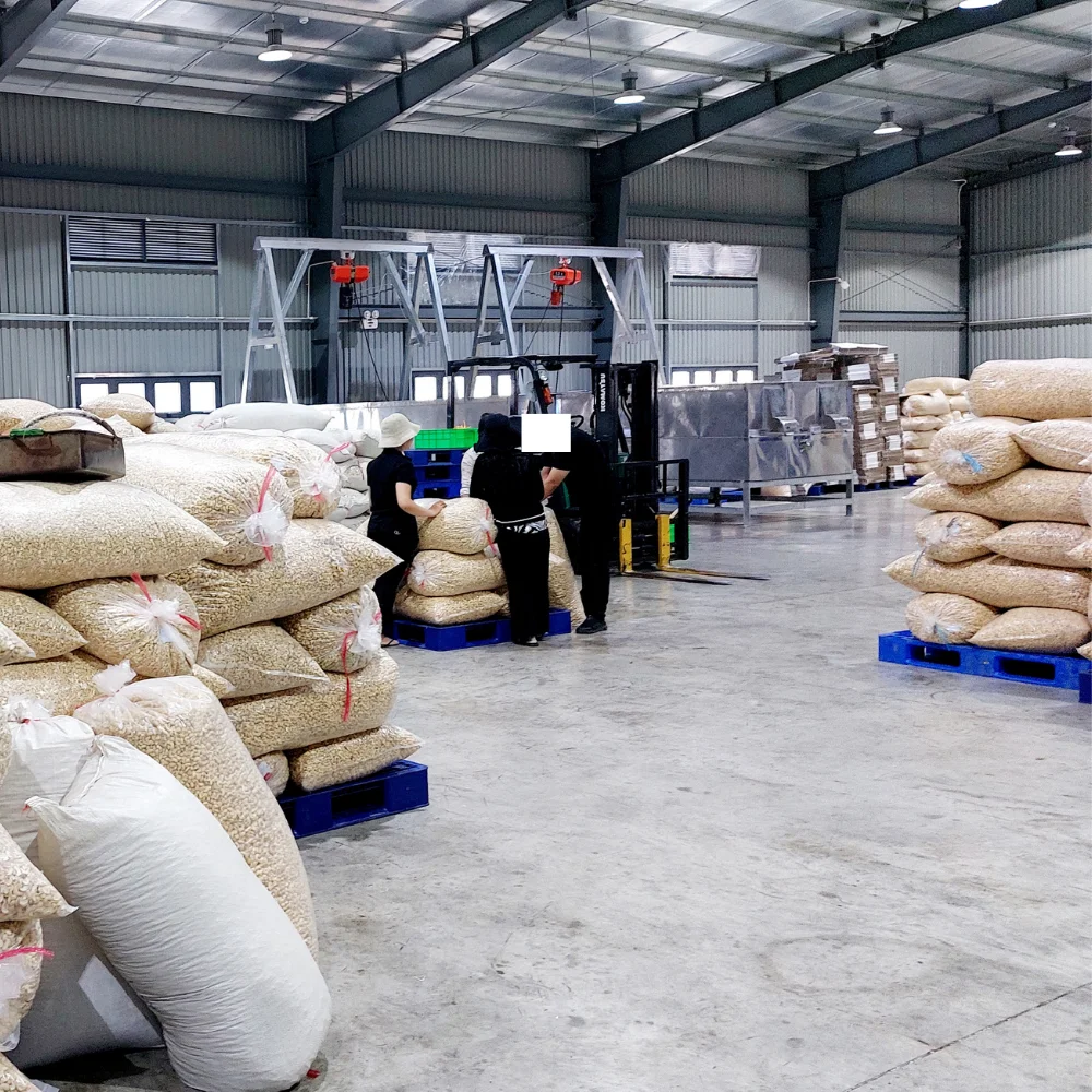 Cheap Bulk Ready To Ship Cashew Nuts Raw Cashew Nuts Wholesale Cashew Nuts Low MOQ W/A +84932.028.019