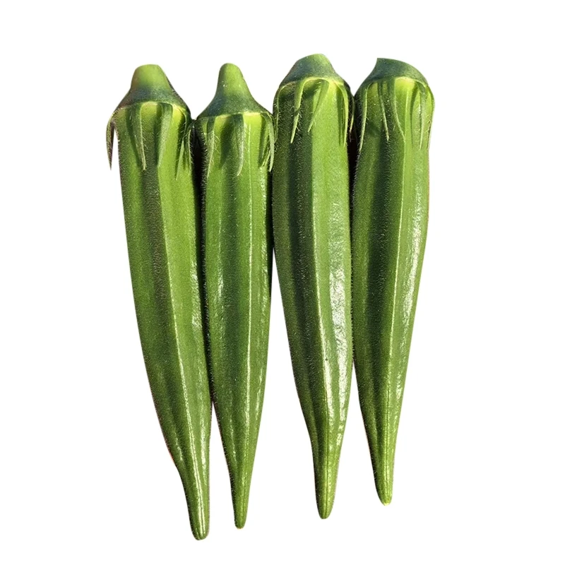Premium grade Fresh Lady Finger Okra