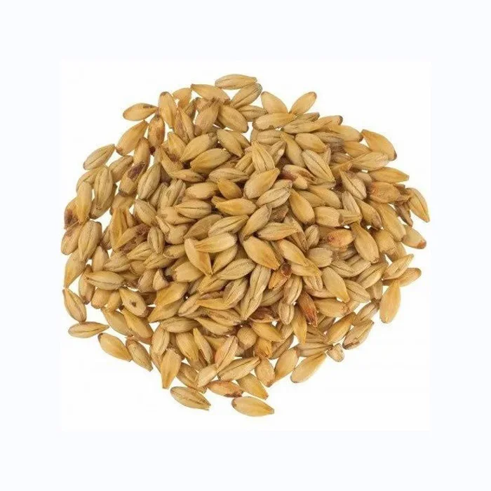 Barley for Malt, Barley Feed, Malted Barley Animal Feed Barley