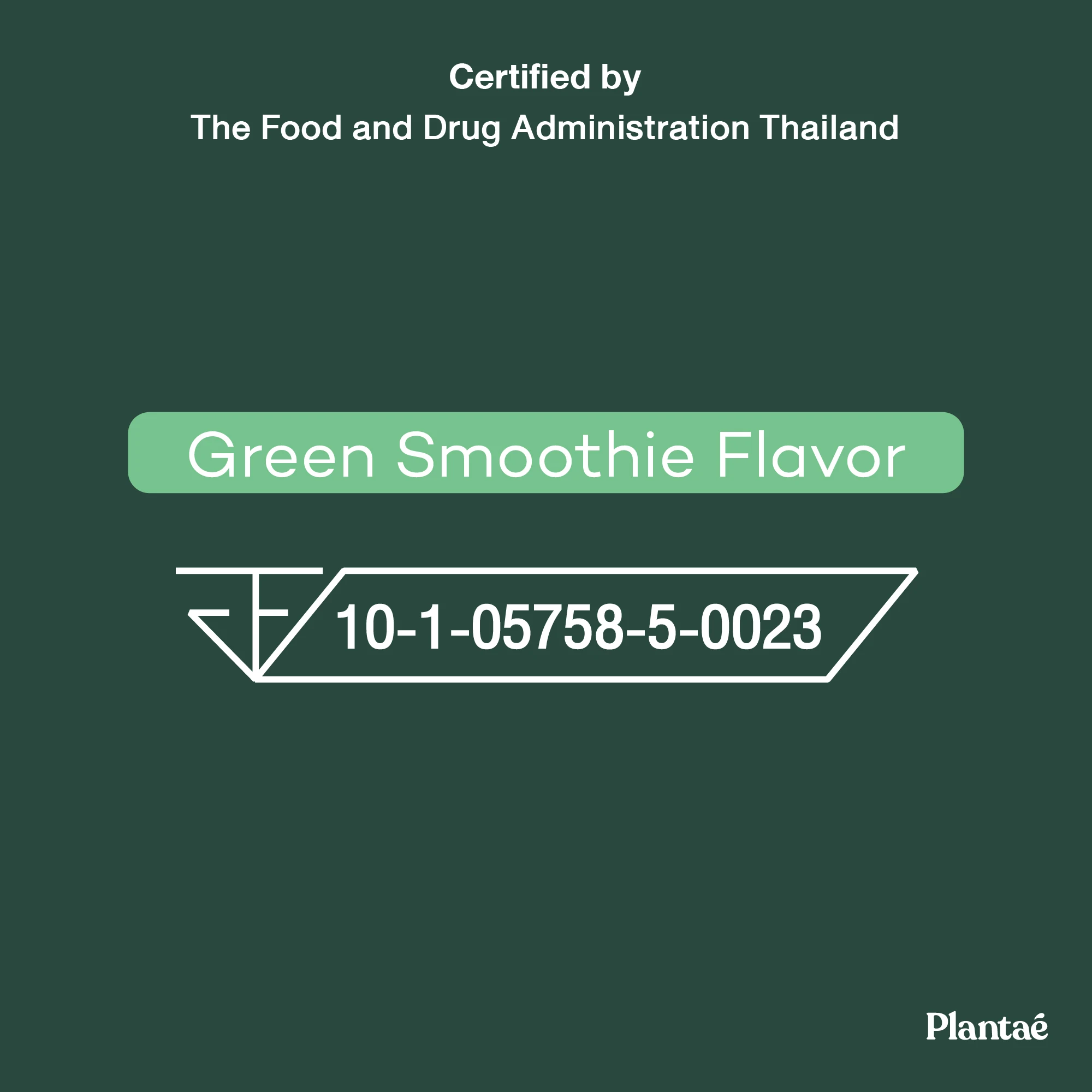 New Updated! High Quality Complete Plant Green Smoothie from Thailand Protein + Superfood & Greens Powder Providing Energy TH;24