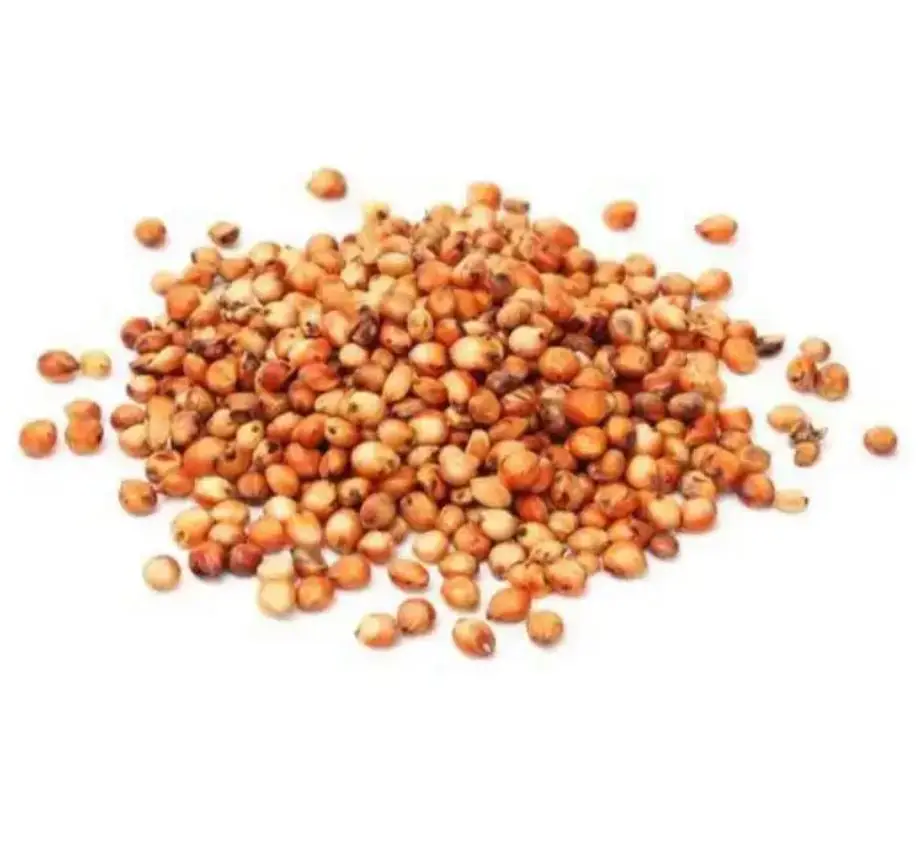 Bulk Quantity Sorghum Grains and Good Quality Red White and Yellow Sorghum Seeds In Cheap Price