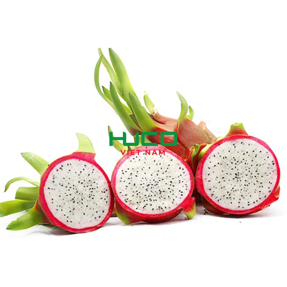 Fresh White Dragon Fruit from Vietnam with Best Price - High Quality for Export