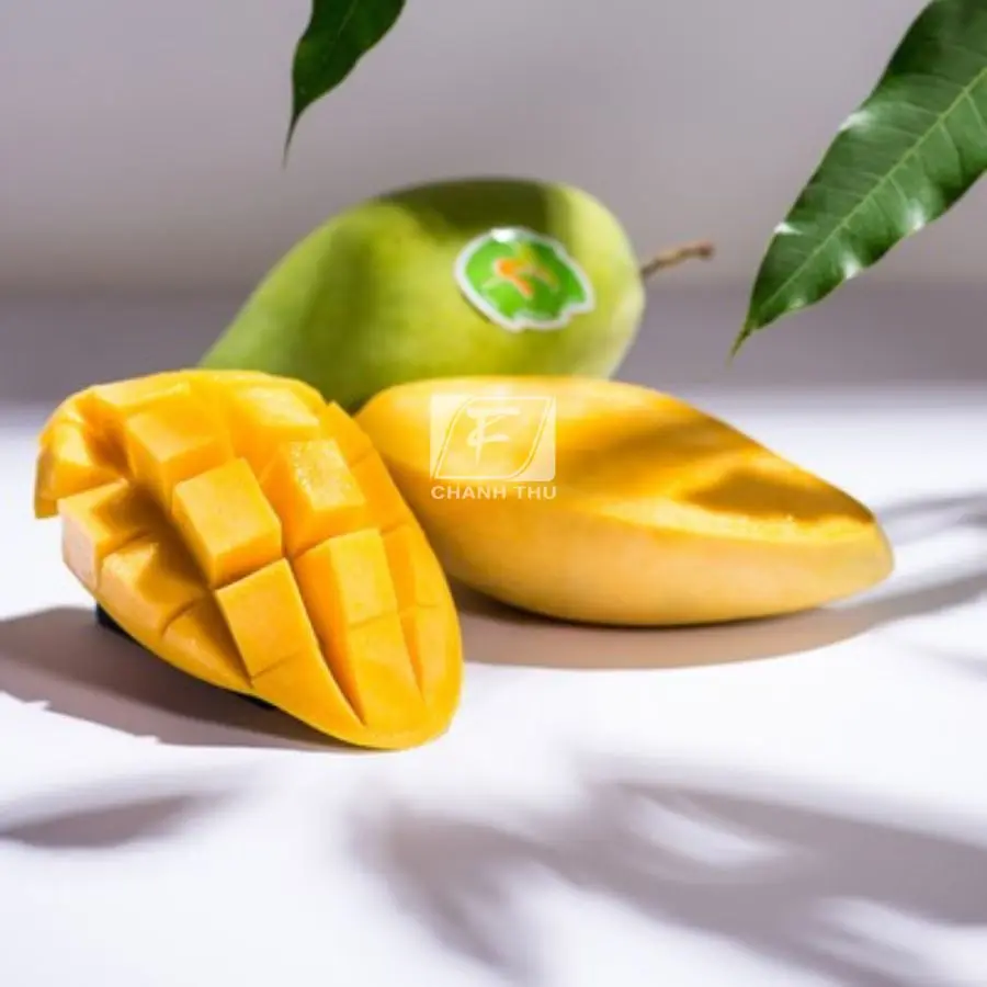 Organic Fresh Mango Hoa  Loc Mango High Quality  Sweet Taste Mango Export From Vietnam Carton Box Packaging