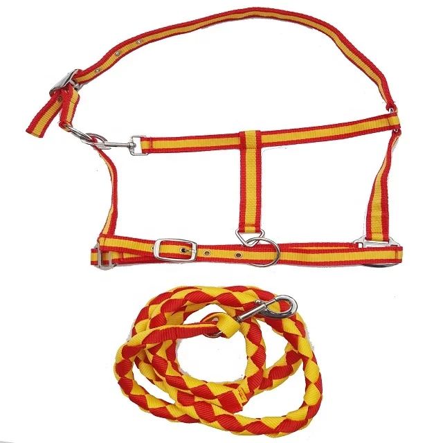 Buy PP Halter Fully Adjustable With Matching Lead with Yellow & Red Colored For Horse Racing Use By Indian Exporters