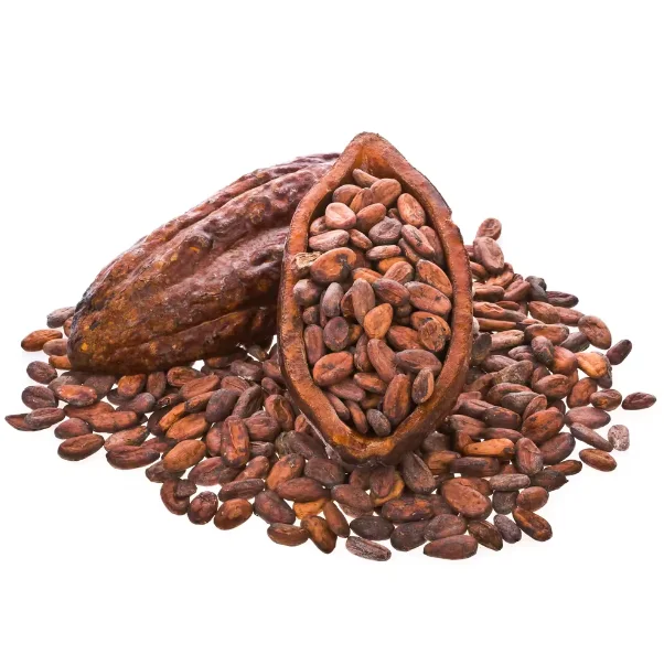 100% Cocoa Beans / Cocoa Seeds and Cocoa Powder For Sale