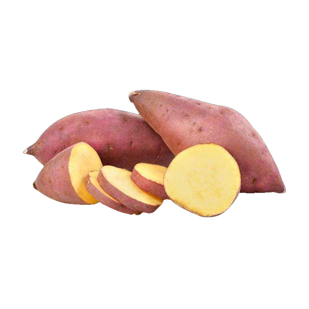 New Crop Best Quality Natural Vegetables Delicious Taste Crop Sweet Potato