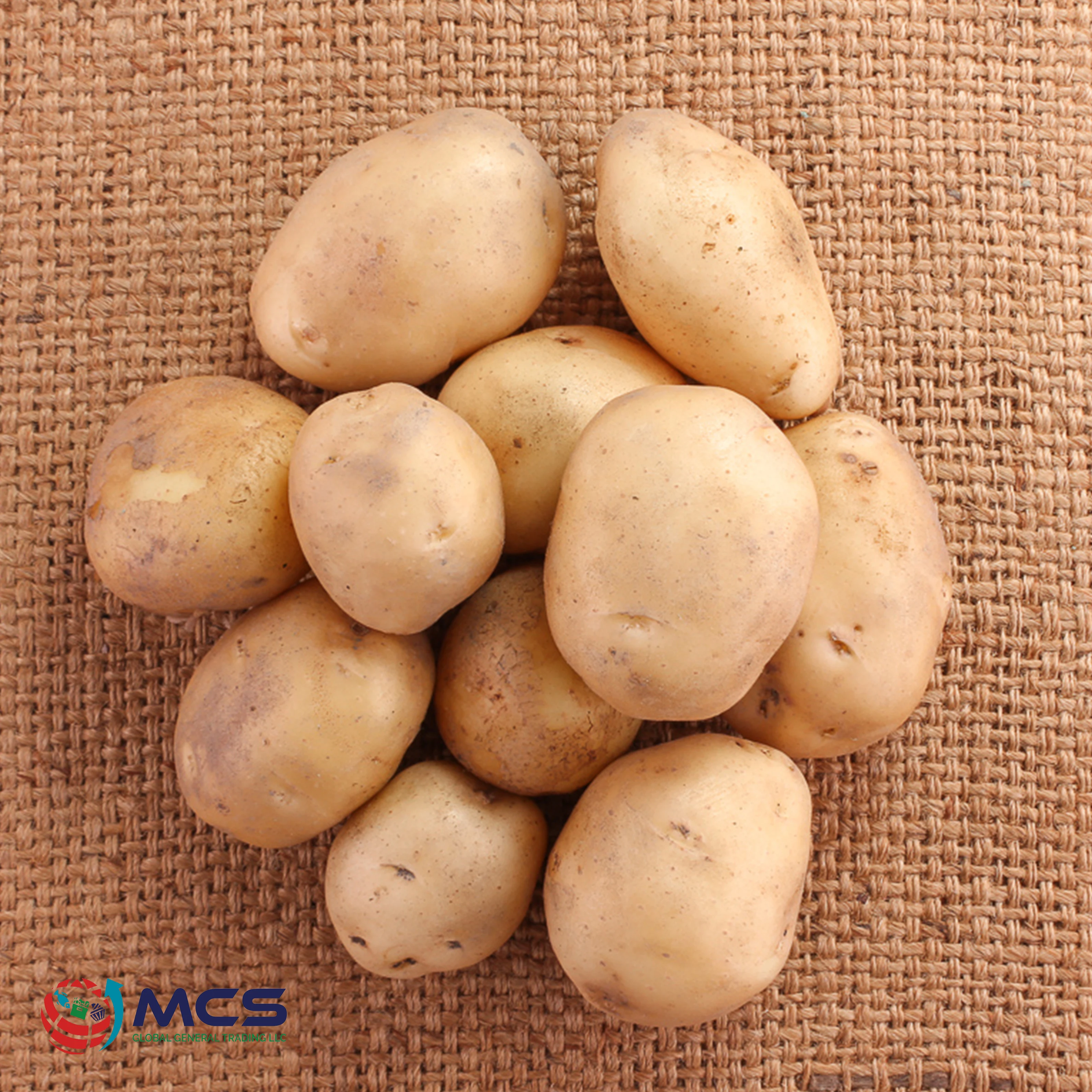 Fresh With High Quality New Crop Per Ton Good Price For Wholesale Fresh Potato Professional Export Potato in reasonable price