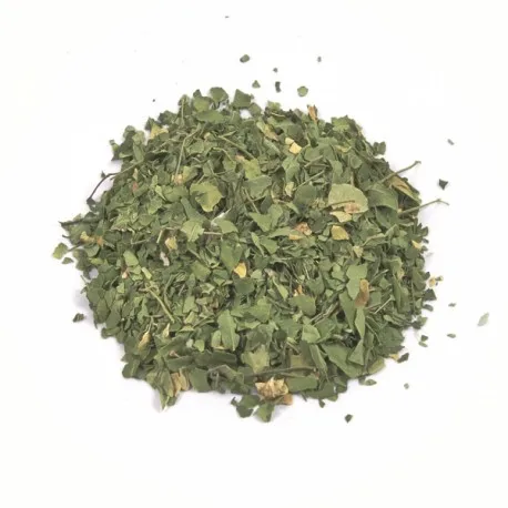 Dried Moringa Leaves/Fresh Moringa Extract/Moringa Powder for treatments
