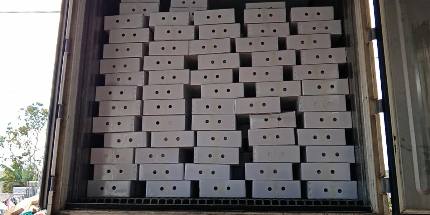 Высококачественный оригинальный вьетнамский Brix 40 жидкий кофейный концентрат Maca Arabica Bean для похудения капучино оптом фруктовый крем