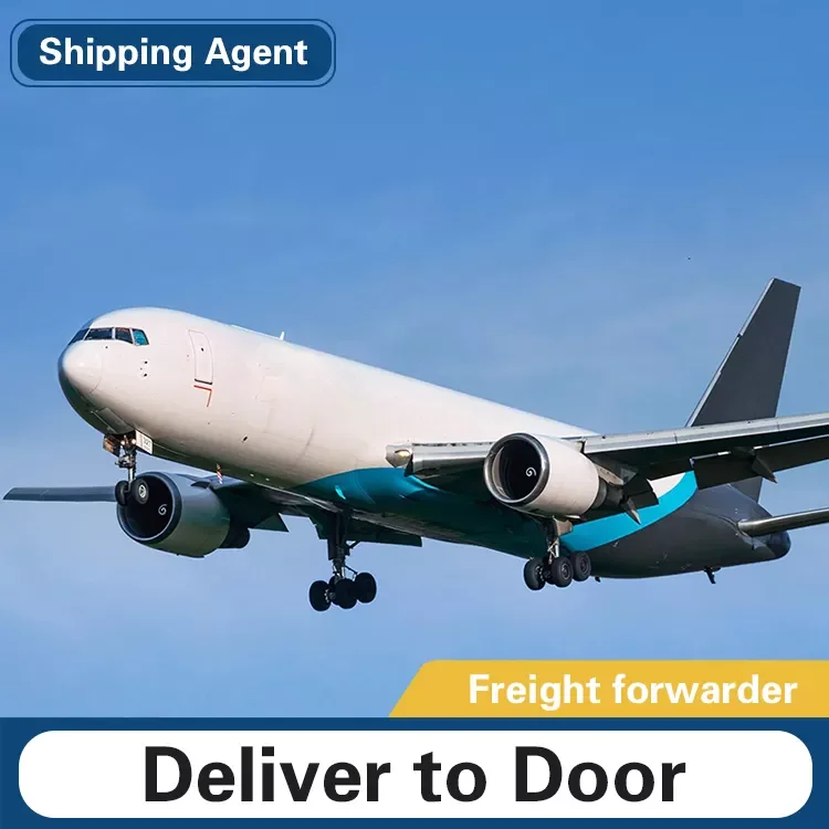 shenzhen To Angola Nigeria Ghana Kenya Senegal Cameroon ddp lcl cheap Sea Freight